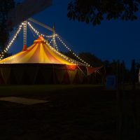 PIT HARTLING Bild 6